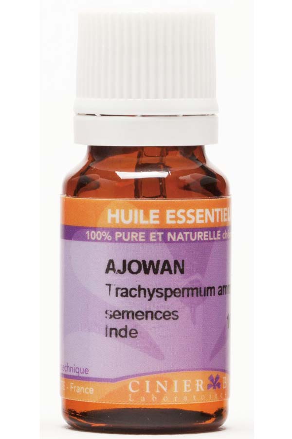 AJOWAN Attraversando l’oceano Indiano