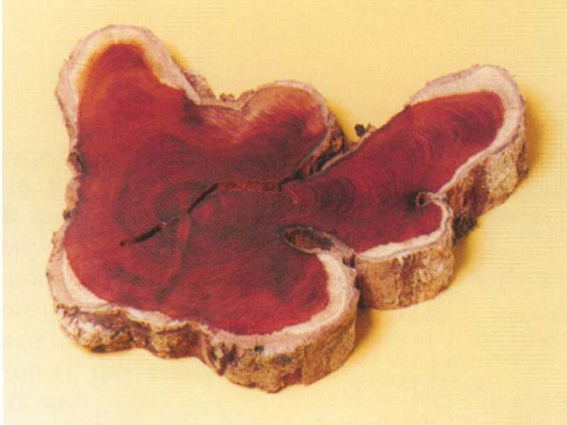 Camco Piatti Di Carta Da Campeggio – 25 Pezzi Da 22,9 Cm – Rosso Plaid, Resistenti E Microonde - 4