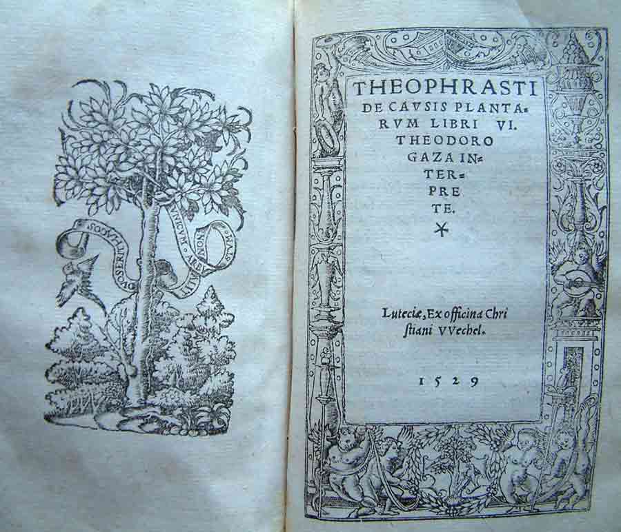 Teofrasto Storia Delle Piante Pdf Download Teofrasto Storia Delle Piante Pdf Download