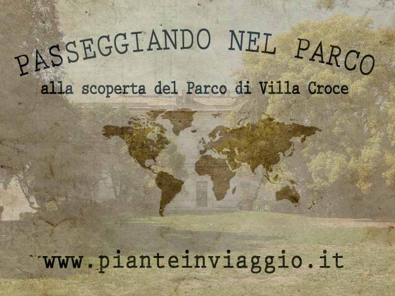 mappa-villacroce-01